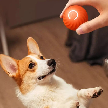 Smart Dog Toy Ball