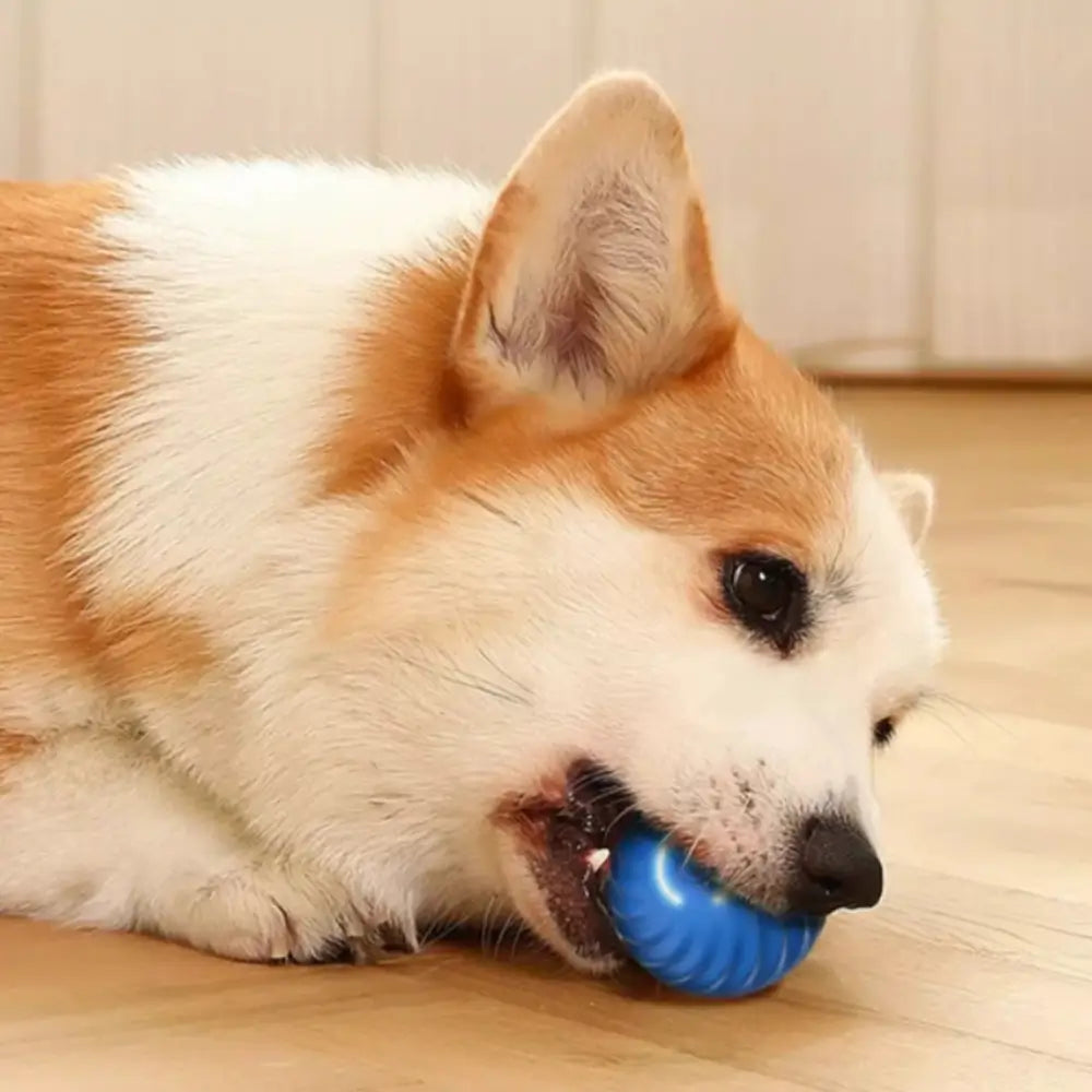 Smart Dog Toy Ball